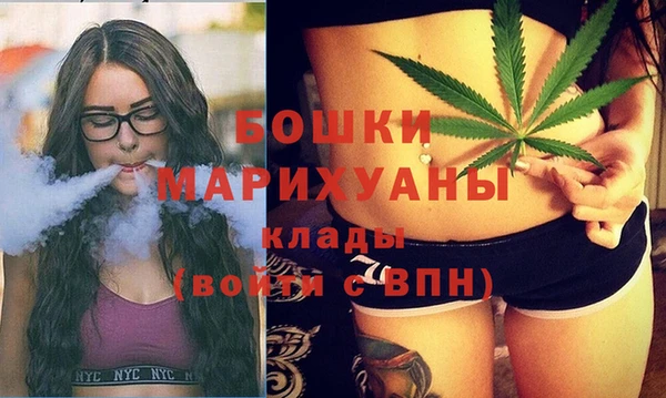 хмурый Михайловск