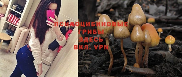 ПСИЛОЦИБИНОВЫЕ ГРИБЫ Билибино