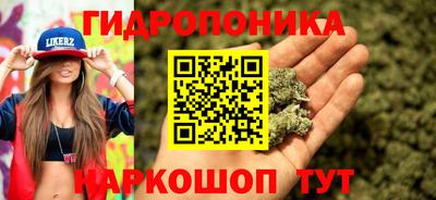 скорость Гай