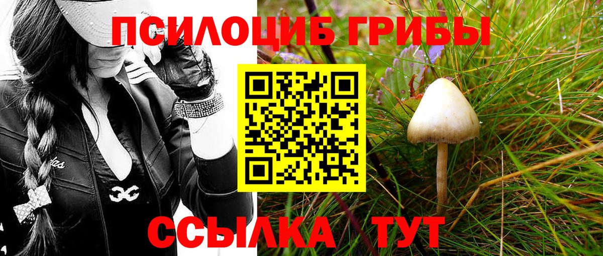 Галлюциногенные грибы Cubensis Чернушка