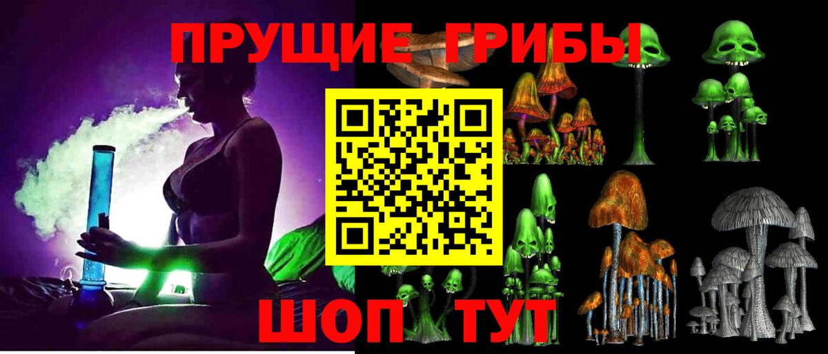 Чернушка  Псилоцибиновые грибы мухоморы  Вход с VPN  Псилоцибиновые грибы Psilocybe 