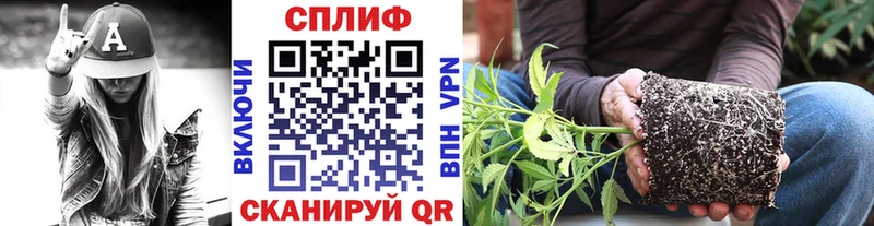 наркошоп  Чернушка  Бошки Шишки White Widow 