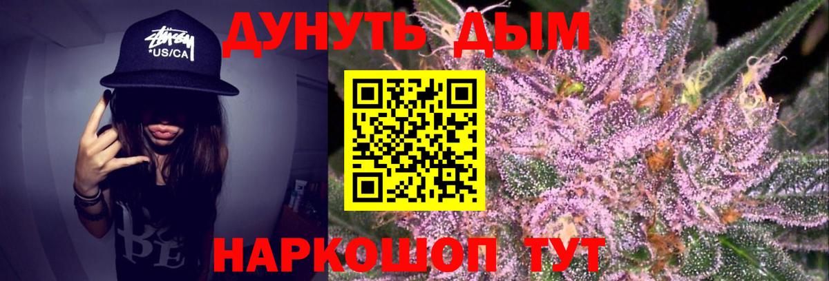 МАРИХУАНА ГИДРОПОН Чернушка